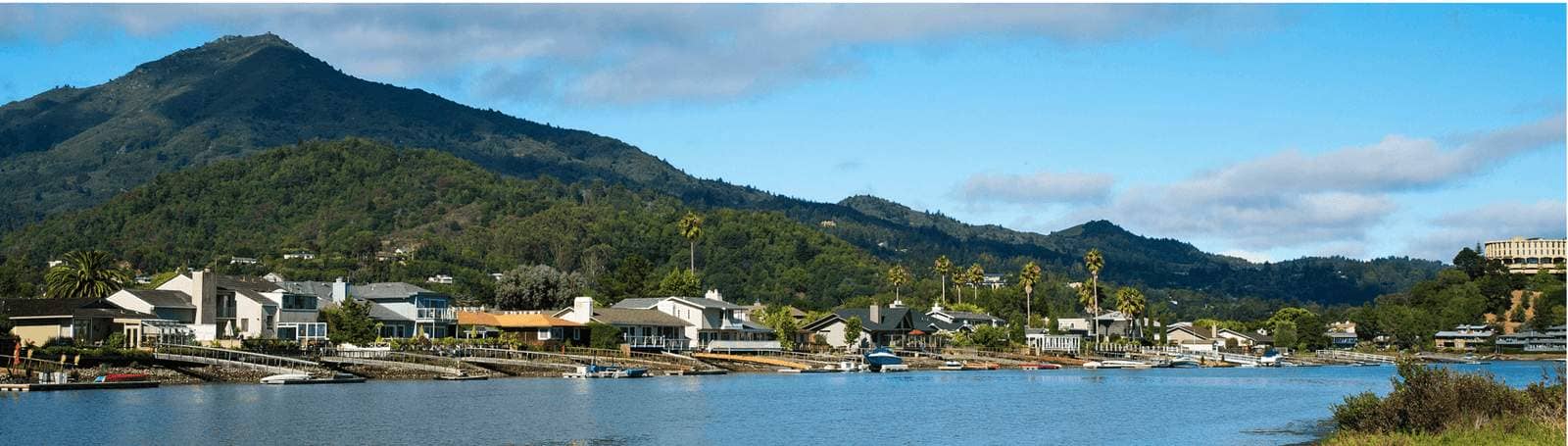 LARKSPUR CA