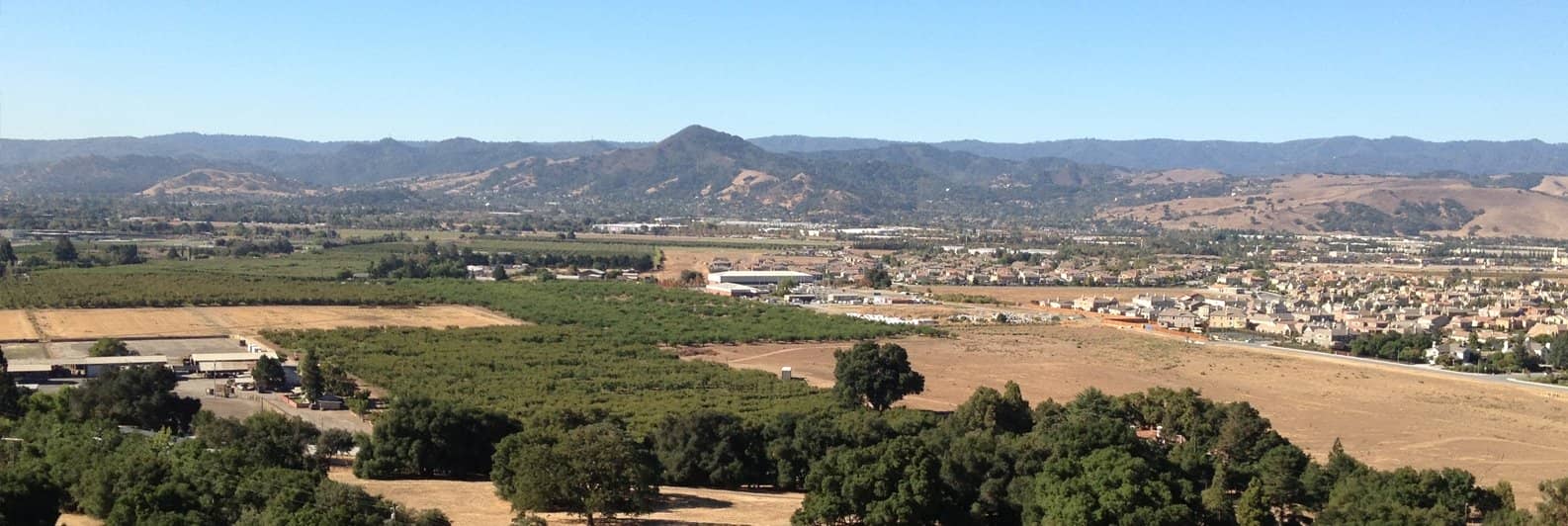 MORGAN HILLS