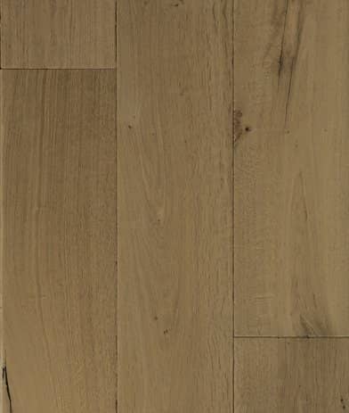 Aegean Mediterranean Collection