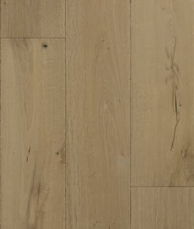 Mediterranean Collection Ligurian