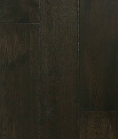 Santolina Mediterranean Collection