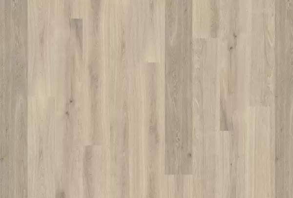 DUCHATEAU GLOBAL WINDS MISTRAL
