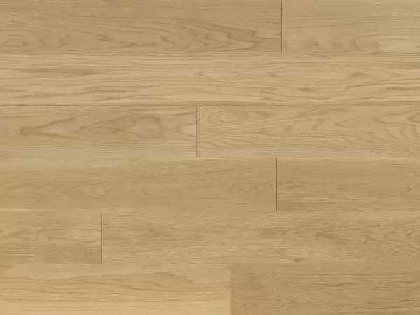 MEADOW WHITE OAK PRIMROSE