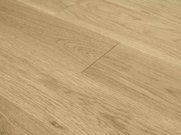 MEADOW WHITE OAK PRIMROSE