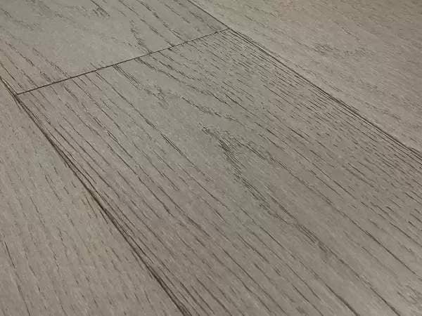 REWARD SERENO GALVANI