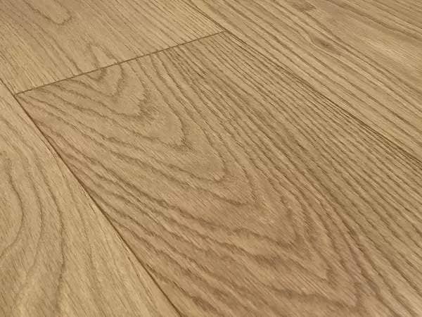 REWARD SERENO GENOVA