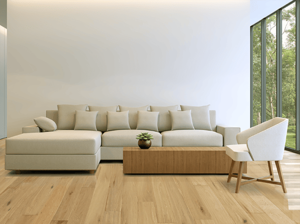 Carolean Contempo Collection